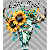 Country music-CM-291